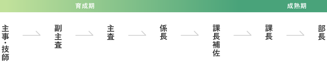 配属・異動・昇任 主事・技師→副主査→主査→係長→課長補佐→課長→部長