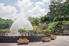 【写真】秋葉公園の噴水