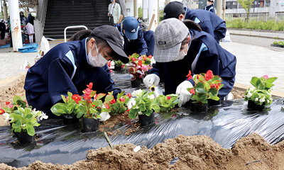 【写真】花植えの様子