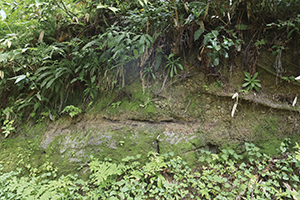 砂に石油が含まれる地層