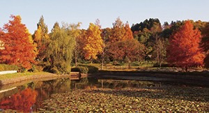 秋の新潟県立植物園