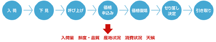 せり売の順序図