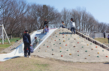 お山と呼ばれる遊具に登ってみよう