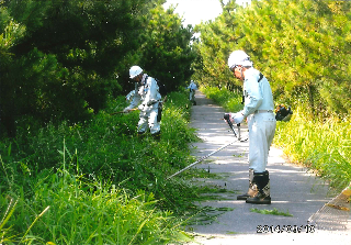 6新潟県治山ボランティアセンター写真