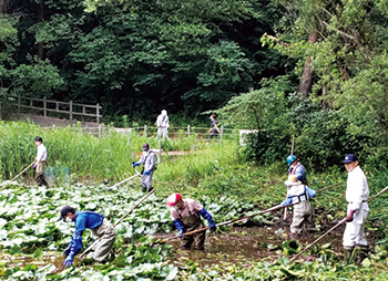 東池の保全活動の様子