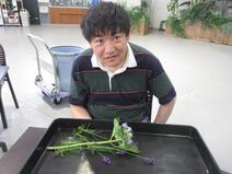 花摘みの様子2