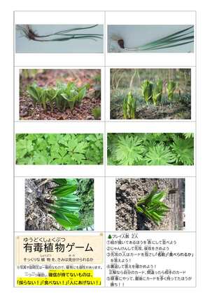 有毒植物カードゲーム（表面）