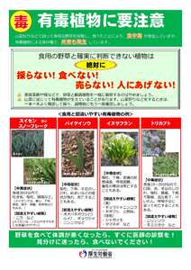 有毒植物に要注意（厚生労働省リーフレット）