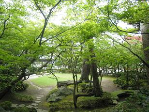 安吾風の館の庭の写真2