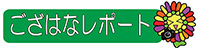 ござはなレポート