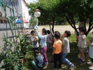 沼垂幼稚園の様子