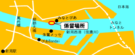 寄港地、信濃川左岸緑地護岸（みなとぴあの上流、萬代橋寄り）