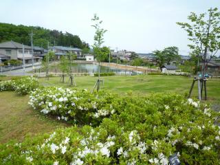 岩室湯のさと公園の写真