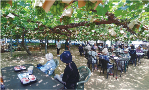 昨年のバスツアーでフルーツ童夢やまだ農園に行き、モモについての説明を聞いている写真