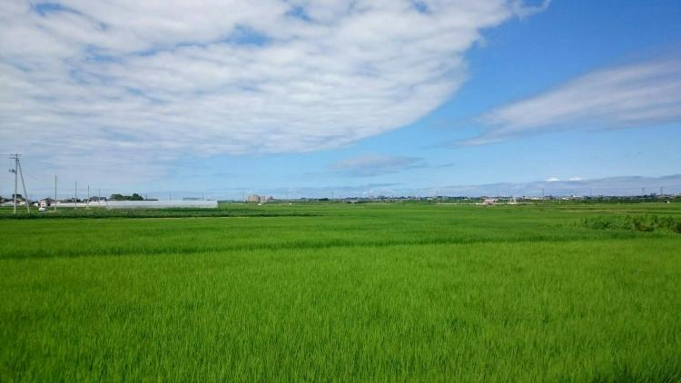 田園風景