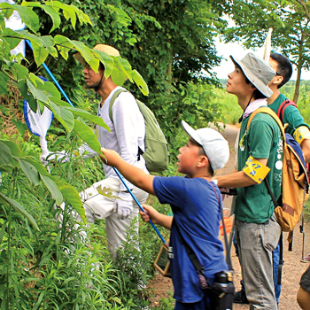 佐潟昆虫観察会