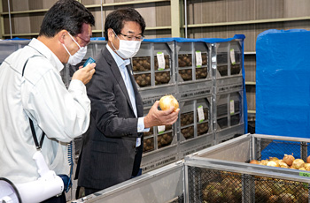 もうかる農業　すいか・たまねぎ