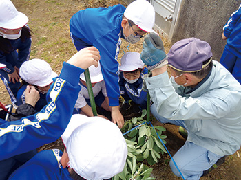 小瀬小学校　おいしいよ小瀬のそら豆甘納豆