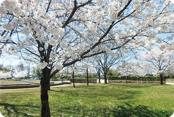 濁川公園