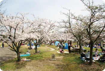 亀田公園