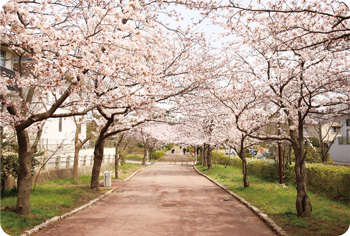 寺尾中央公園